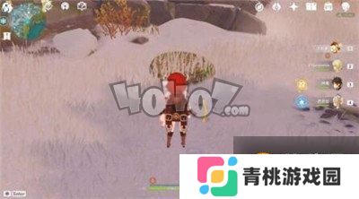 原神龙脊雪山机关板怎么解 机关板解密攻略